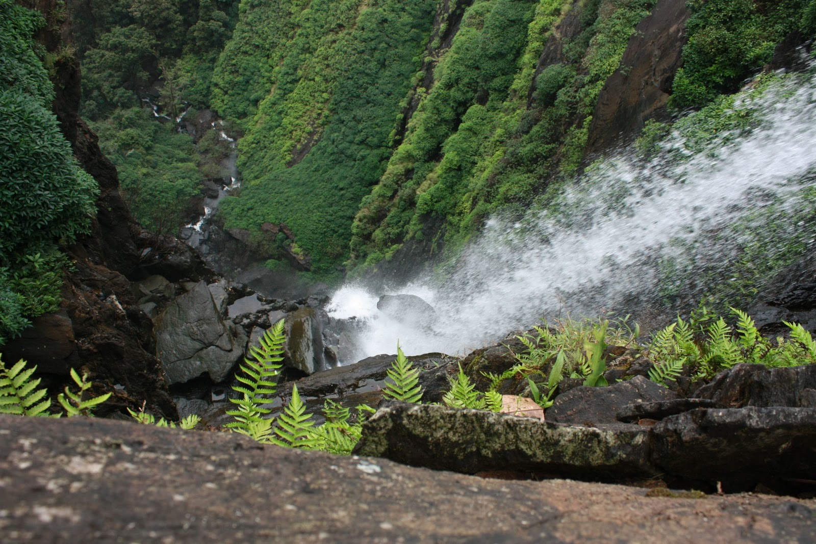 Bangalore to Agumbe Cabs