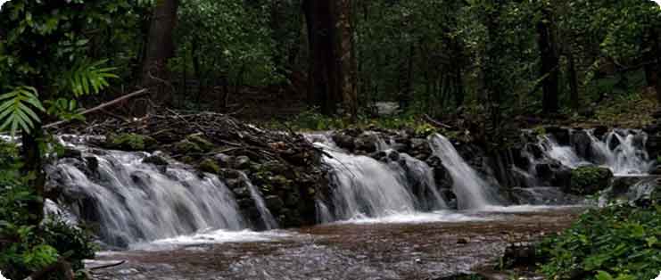 Bangalore to Agumbe Cabs